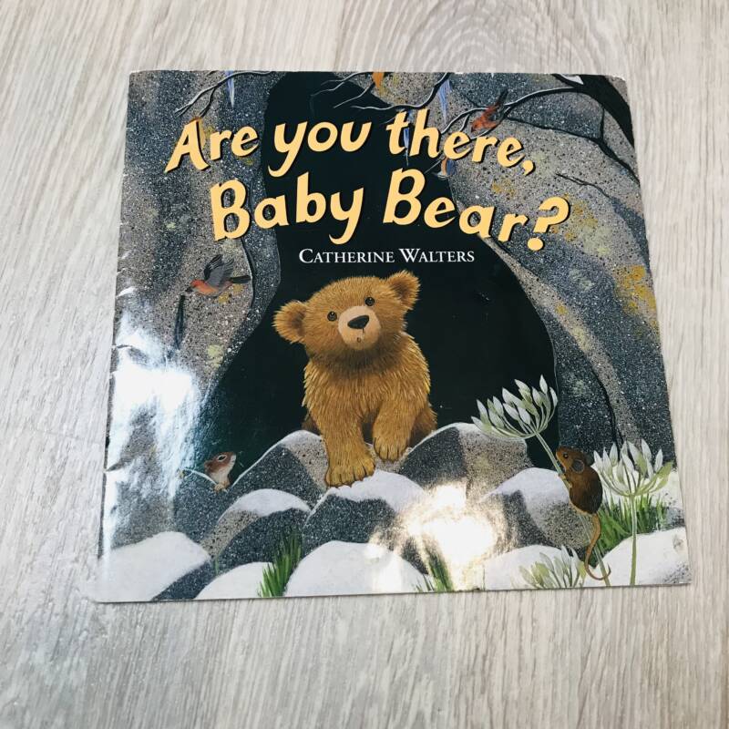 Are　there　bear　Books　you　Bazar　baby　Kuwait