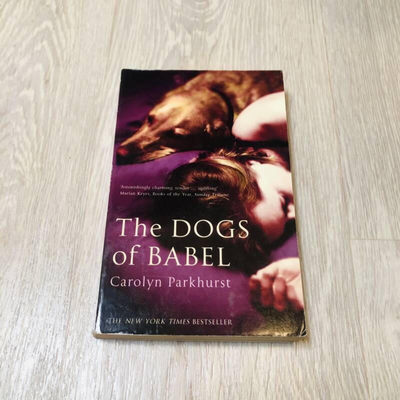 The dogs of babel kuwait bazar books
