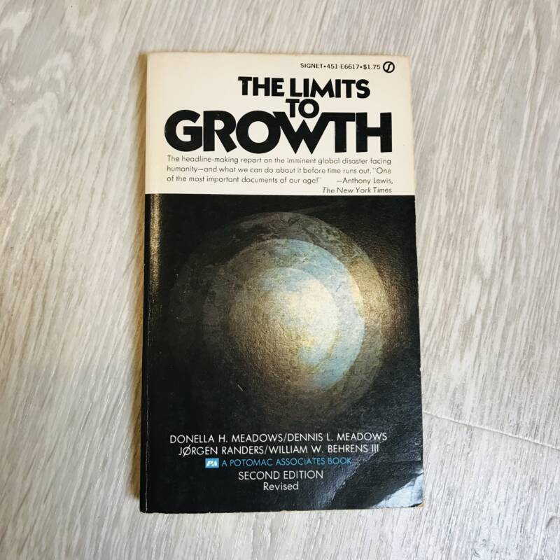 The limits of growth kuwait bazar books