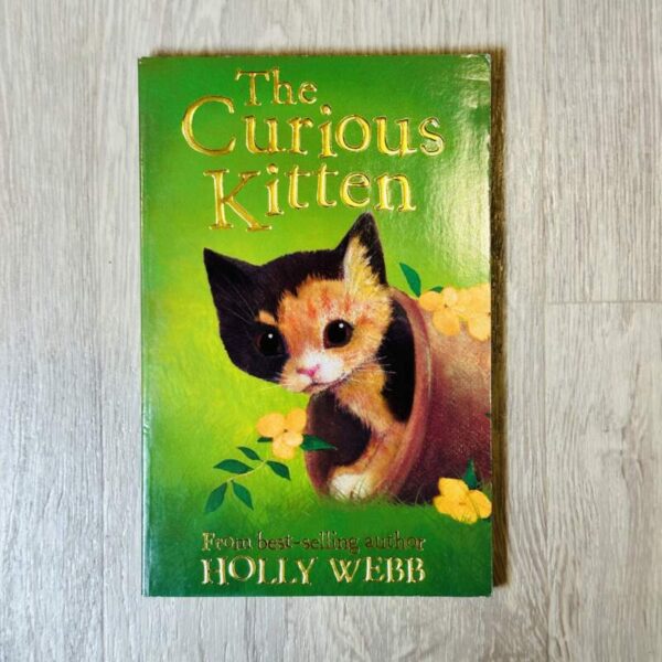 The curious kitten