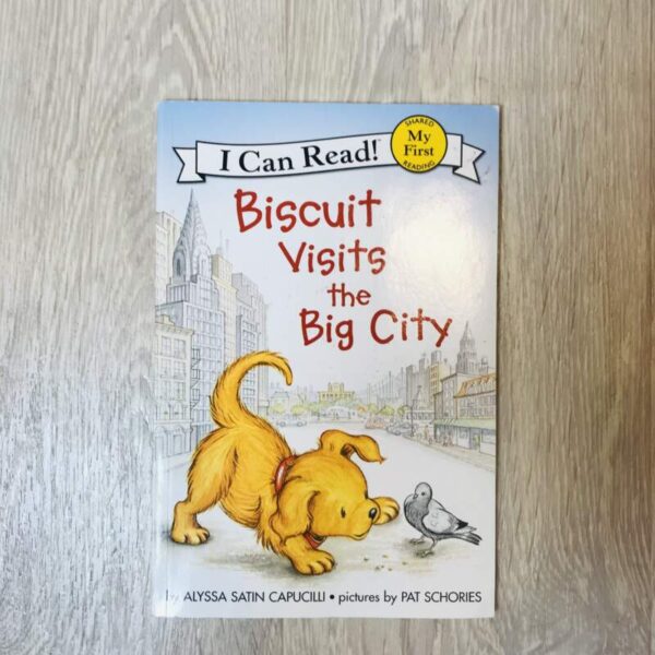 Biscuit visits the big city