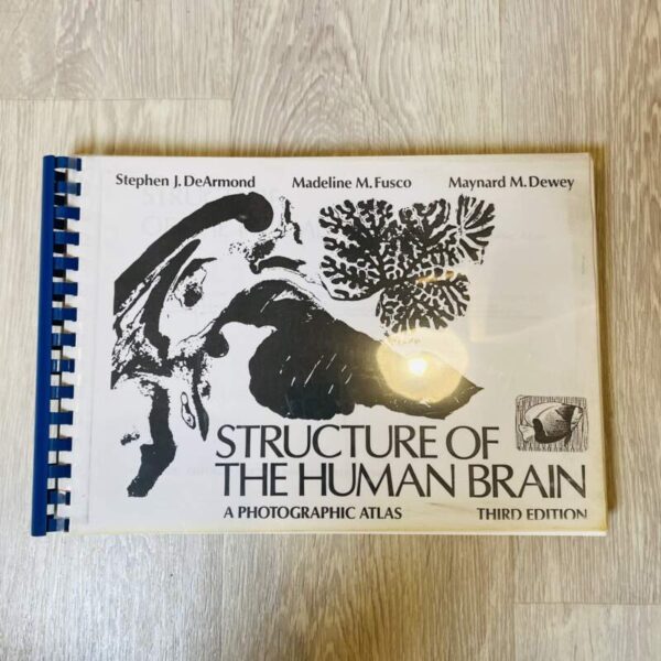 Structure of the human brain