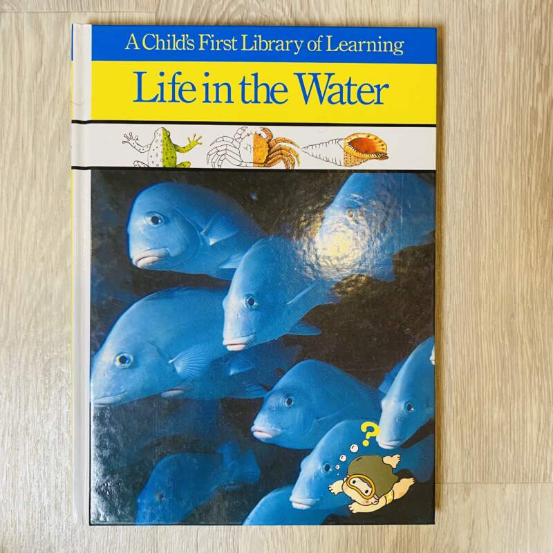 Life in the water